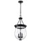 Nuvo Boliver 3-Light Pendant 11 in. Matte Black Clear Seeded Glass 60/7800 - alternate 2